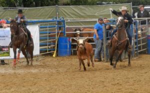 653886342 10241912085682624 2042287698926147608 n