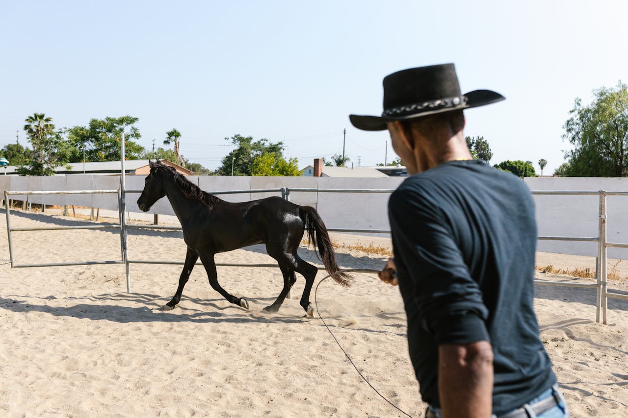A cowboy in a hat guides a black horse in a sandy ranch setting, capturing western lifestyle.