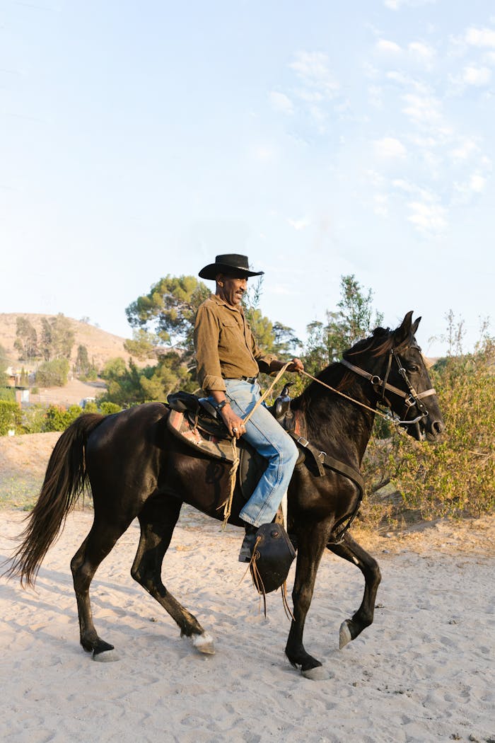 about-01 A cowboy in a hat rides a horse along a sandy path outdoors on a sunny day.