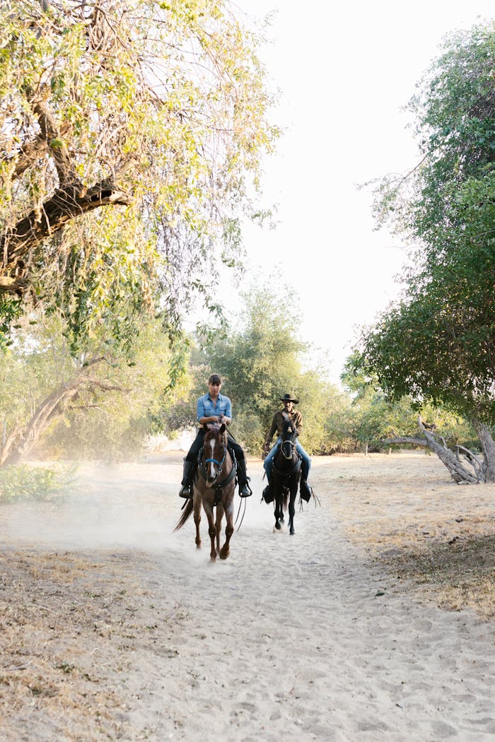 Two riders on horseback traveling through a sunny dirt path lined with trees.